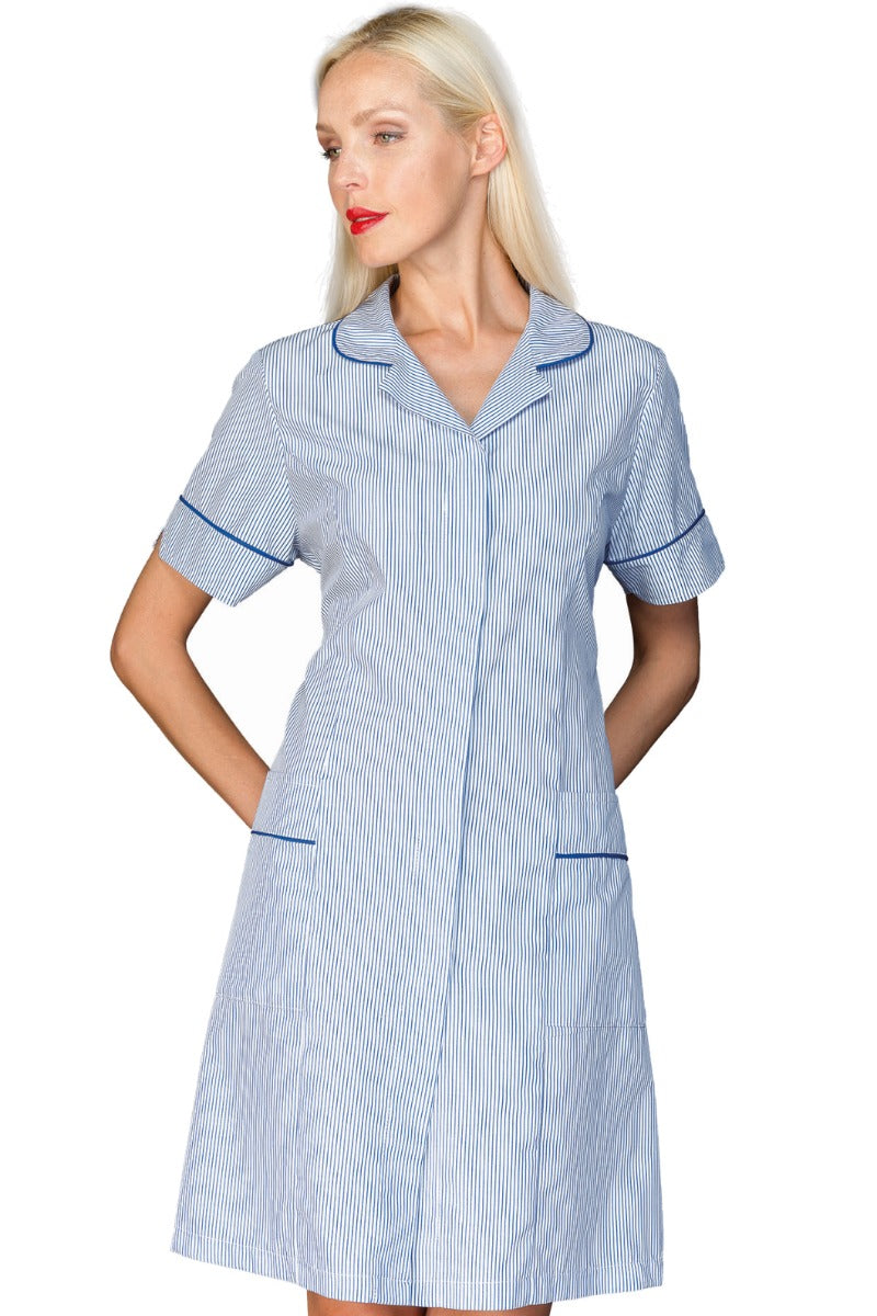 Camice donna Firenze Riga Azzurra Mezza Manica + Blucina - Divise & Divise