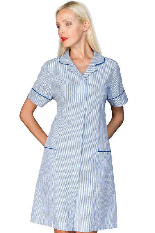 Camice donna Firenze Riga Azzurra Mezza Manica + Blucina - Divise & Divise