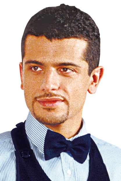 Papillon Professionale Cameriere Barista - 26 Colori - Raso